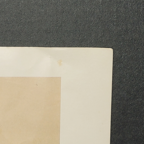 Vintage Ayer's Cathartic Pills. (The Country Doctor) Print - Picture 10 of 11